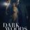Dark Woods : 1.Sezon 6.Bölüm izle