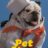 Pet Stars : 1.Sezon 5.Bölüm izle