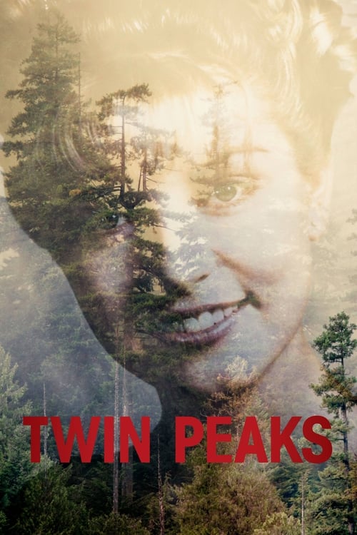 Twin Peaks : 3.Sezon 6.Bölüm