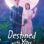 Destined with You : 1.Sezon 1.Bölüm izle