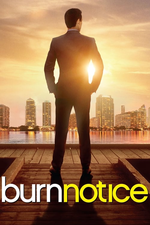 Burn Notice : 2.Sezon 14.Bölüm