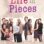 Life in Pieces : 1.Sezon 1.Bölüm izle