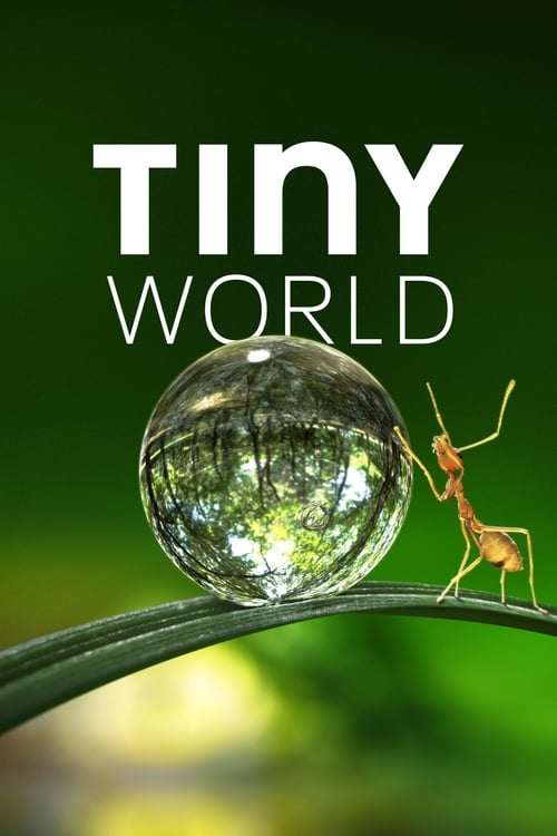 Tiny World : 1.Sezon 2.Bölüm