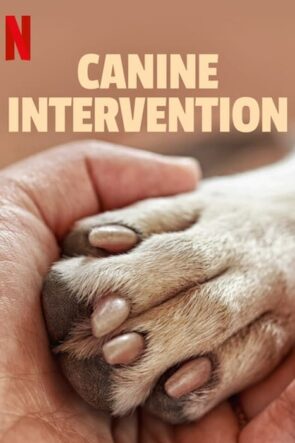 Canine Intervention